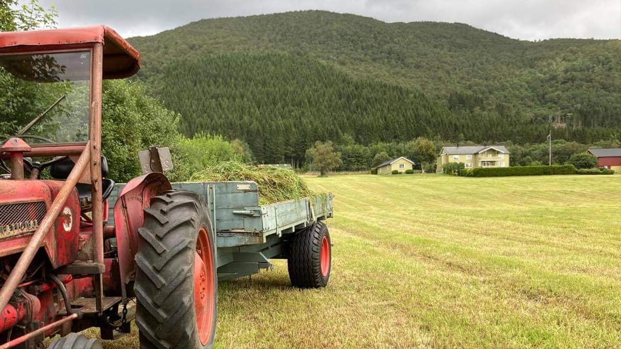 Rodseth Gardsovernatting Hytter Molde Esterno foto